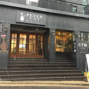 ピーターキャット シンチョン（ホンデ） ホテル